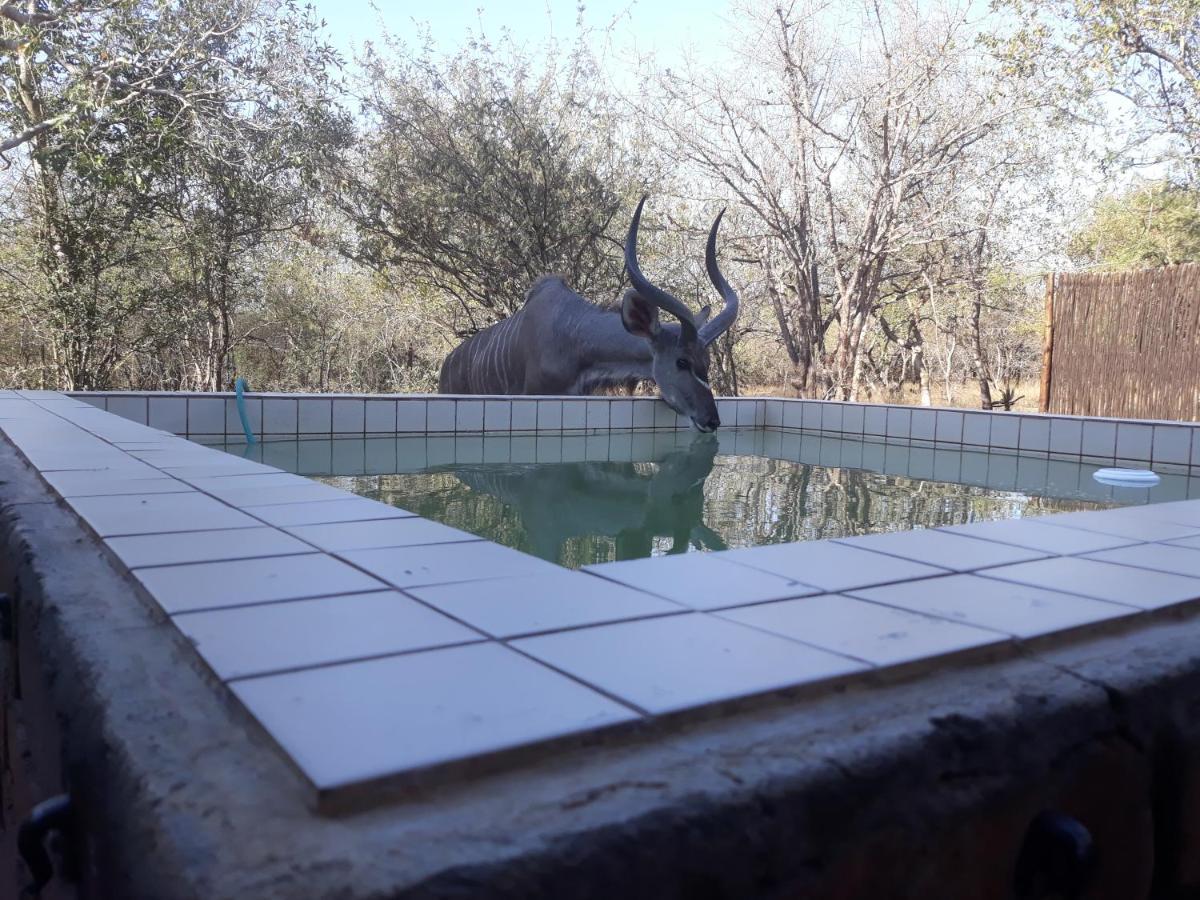 Eagle'S Crest Villa Marloth Park Exterior foto