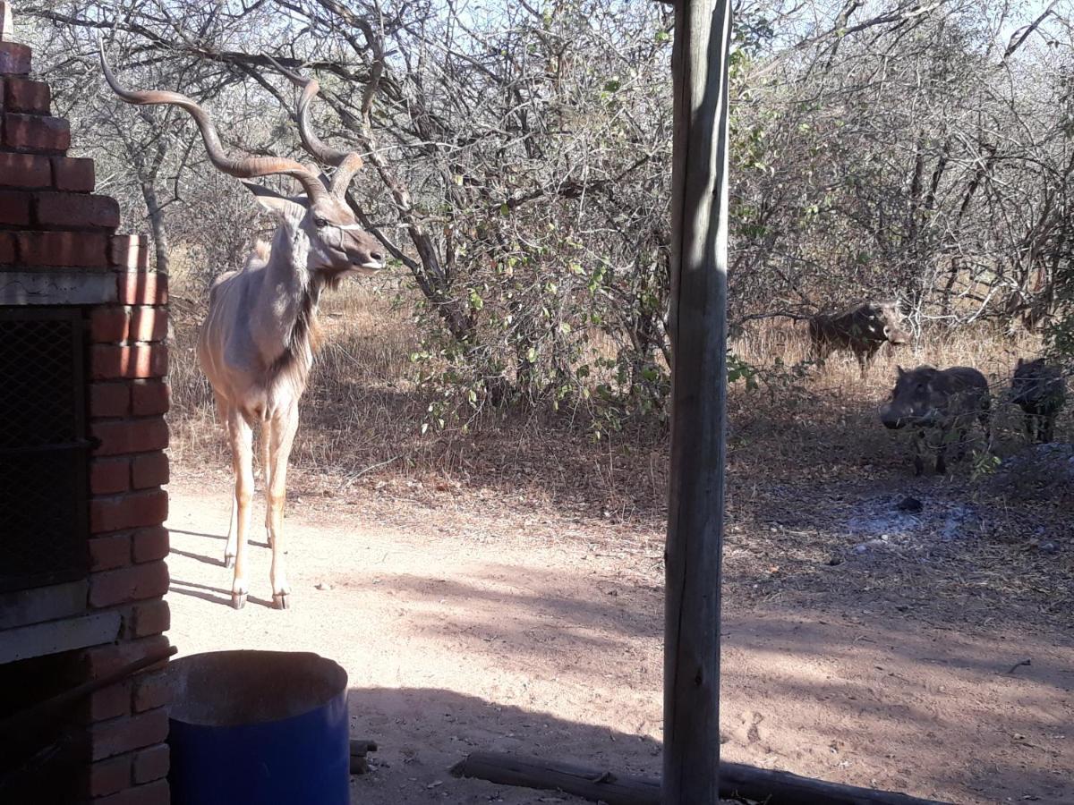 Eagle'S Crest Villa Marloth Park Exterior foto