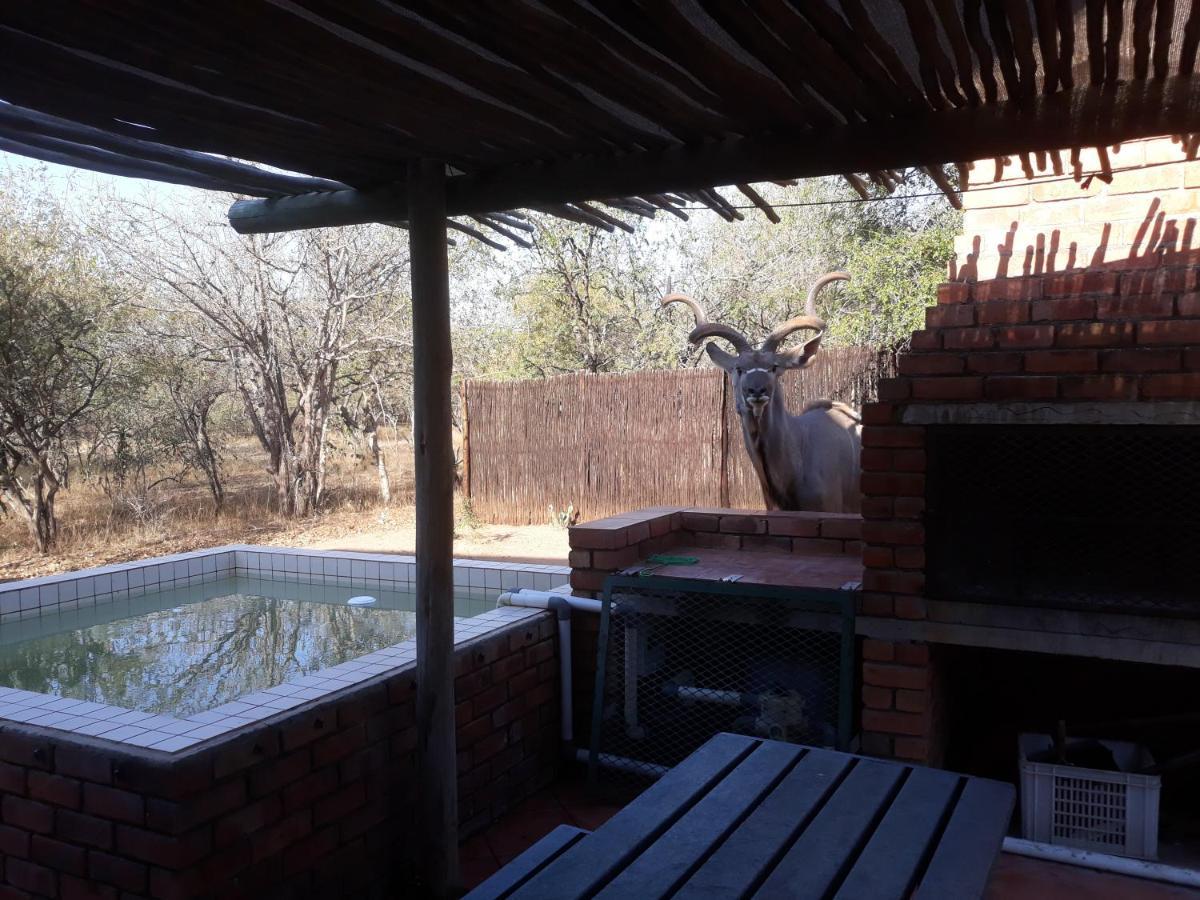 Eagle'S Crest Villa Marloth Park Exterior foto