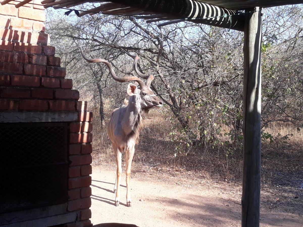Eagle'S Crest Villa Marloth Park Exterior foto