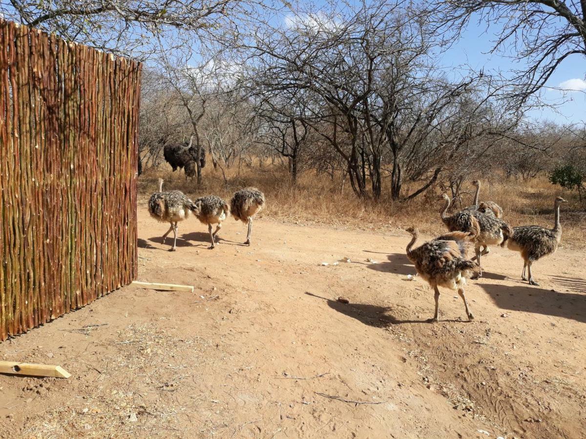 Eagle'S Crest Villa Marloth Park Exterior foto