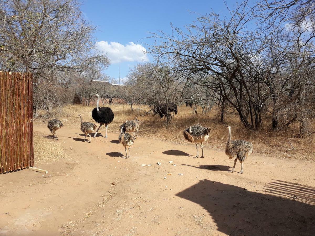 Eagle'S Crest Villa Marloth Park Exterior foto